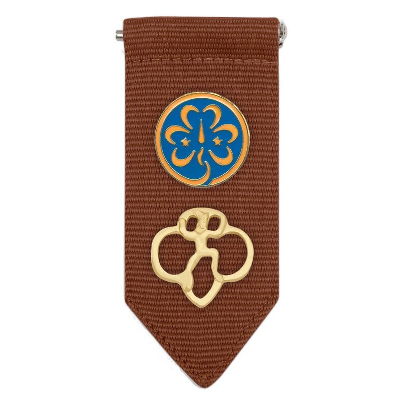Brownie Insignia Tab