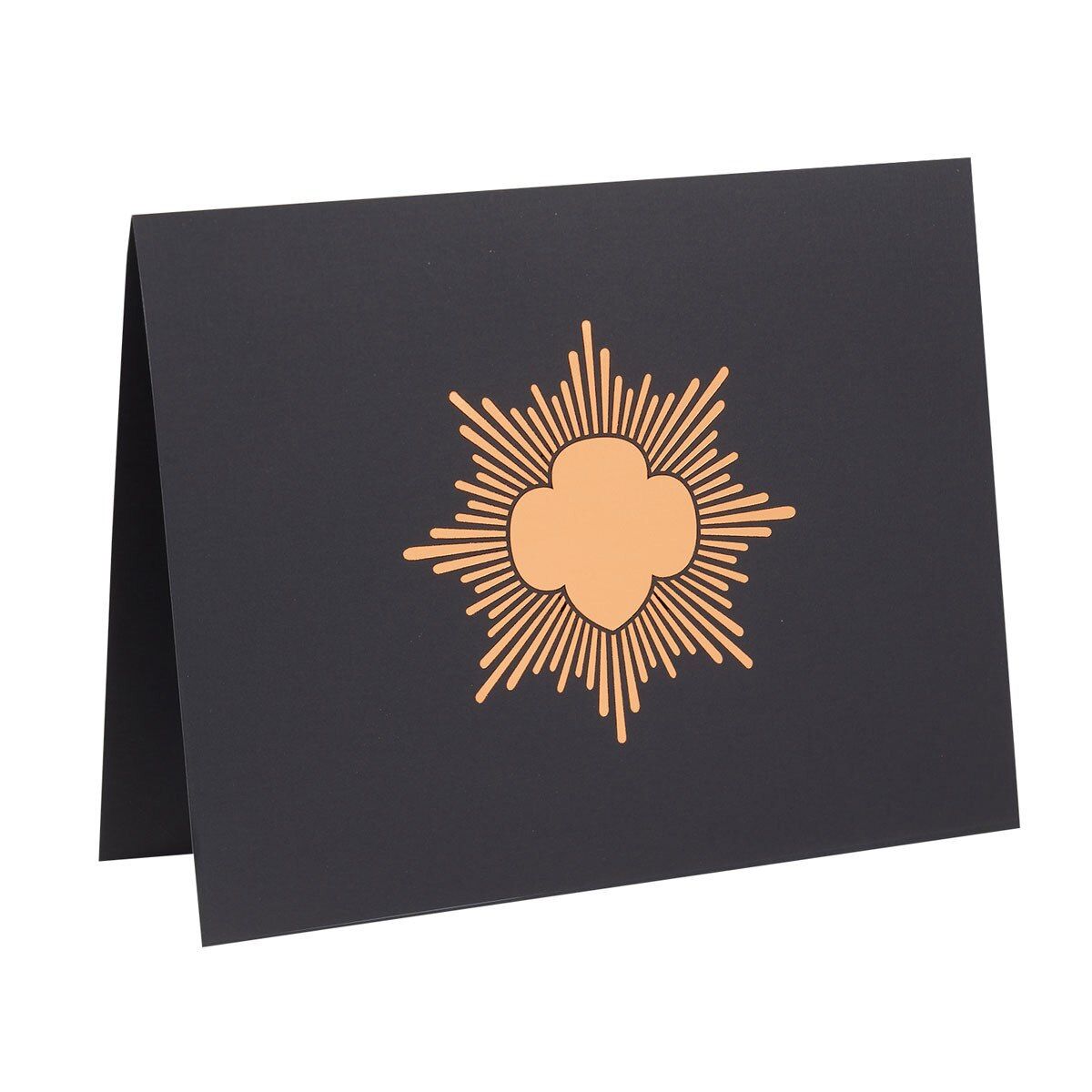 Girl Scout Bronze Award Certificate Holder