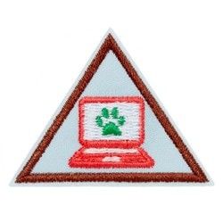 Brownie Cybersecurity Safeguards Badge