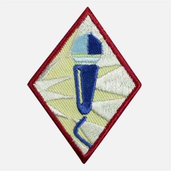 Cadette Public Speaker Badge