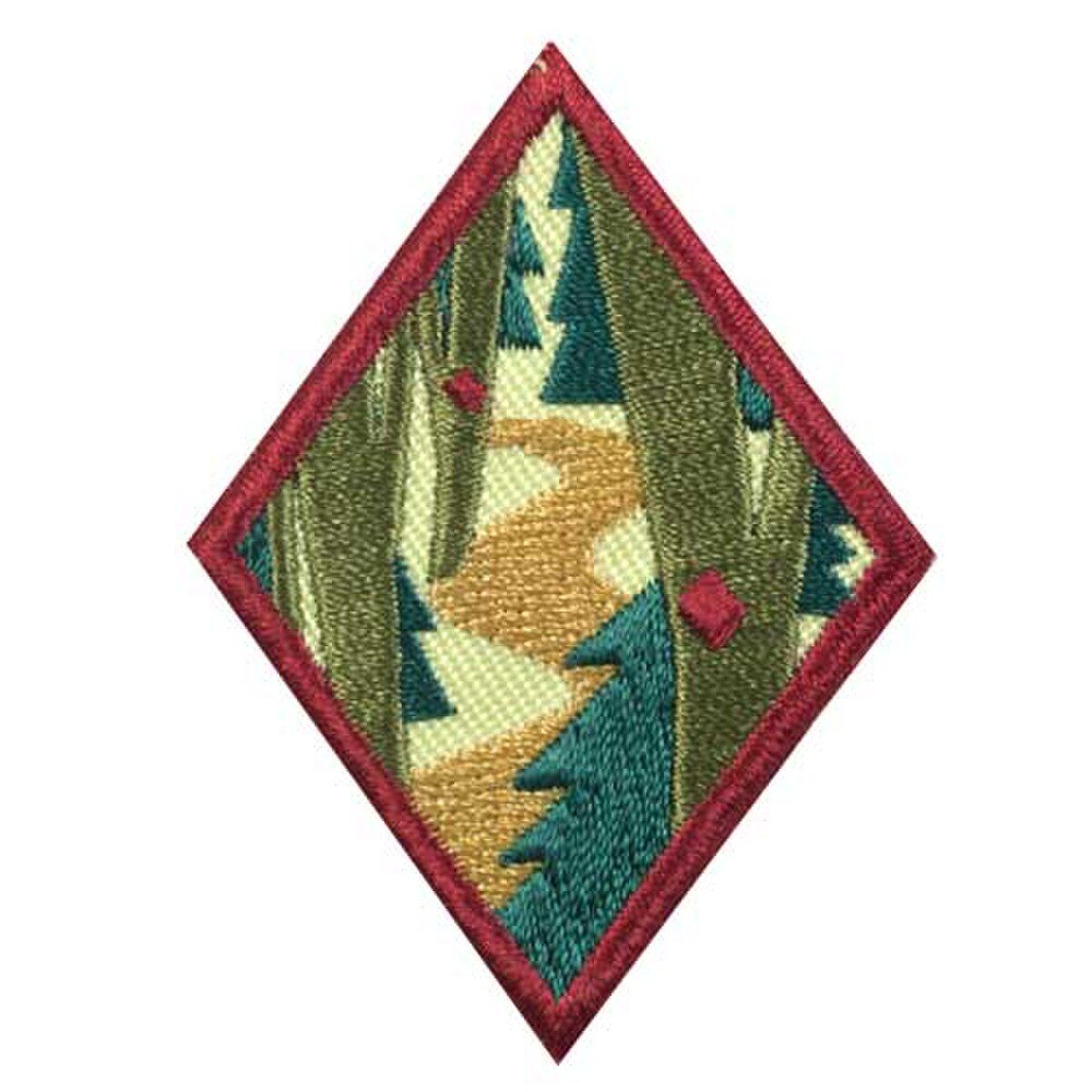 Cadette Trailblazing Badge