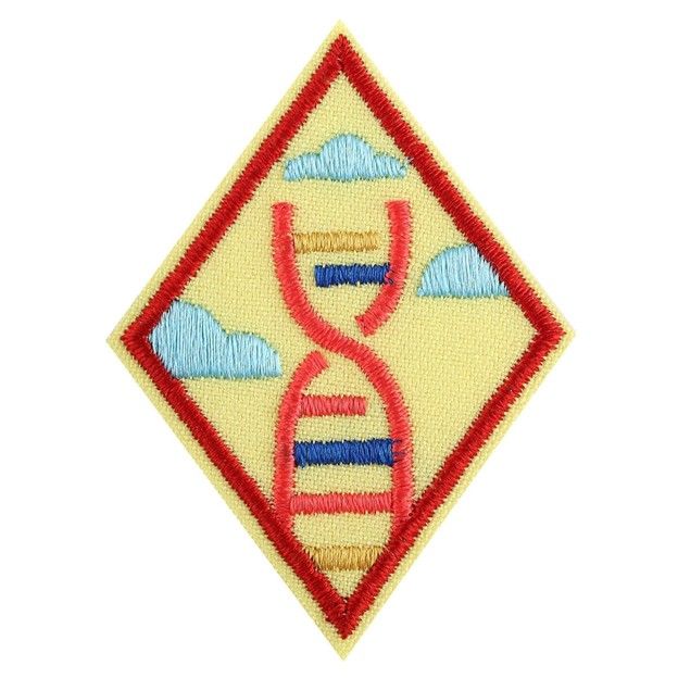 Cadette STEM Career Exploration Badge
