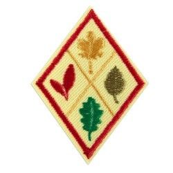 Cadette Think Like A Citizen Scientist Award Badge