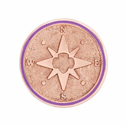 Junior True North Award Pin