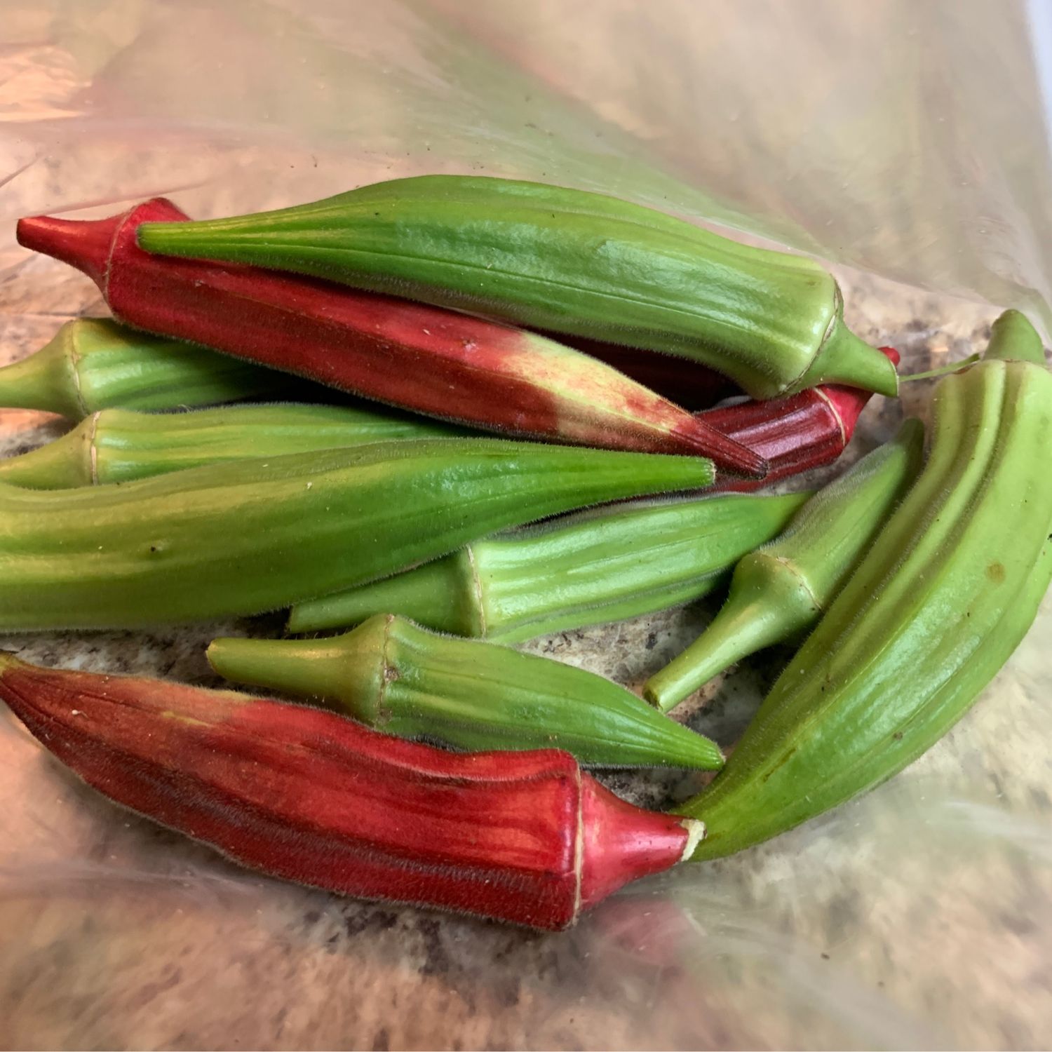 Okra