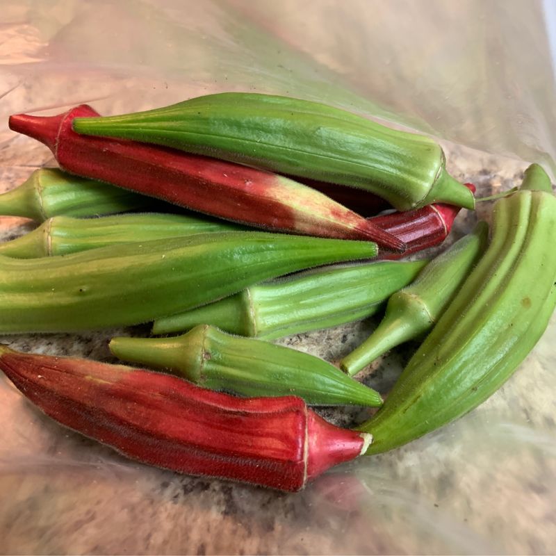 Okra
