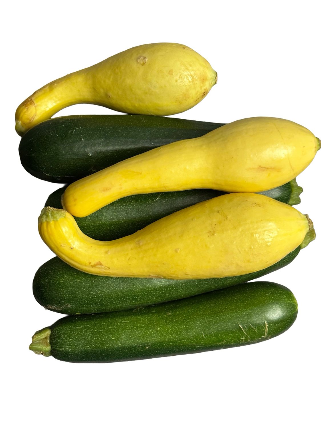 Zucchini &amp; Yellow Squash Bag 2lb