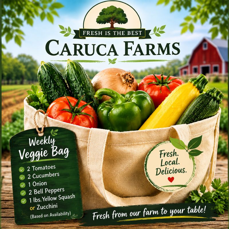 Small Weekly Veggie Bag