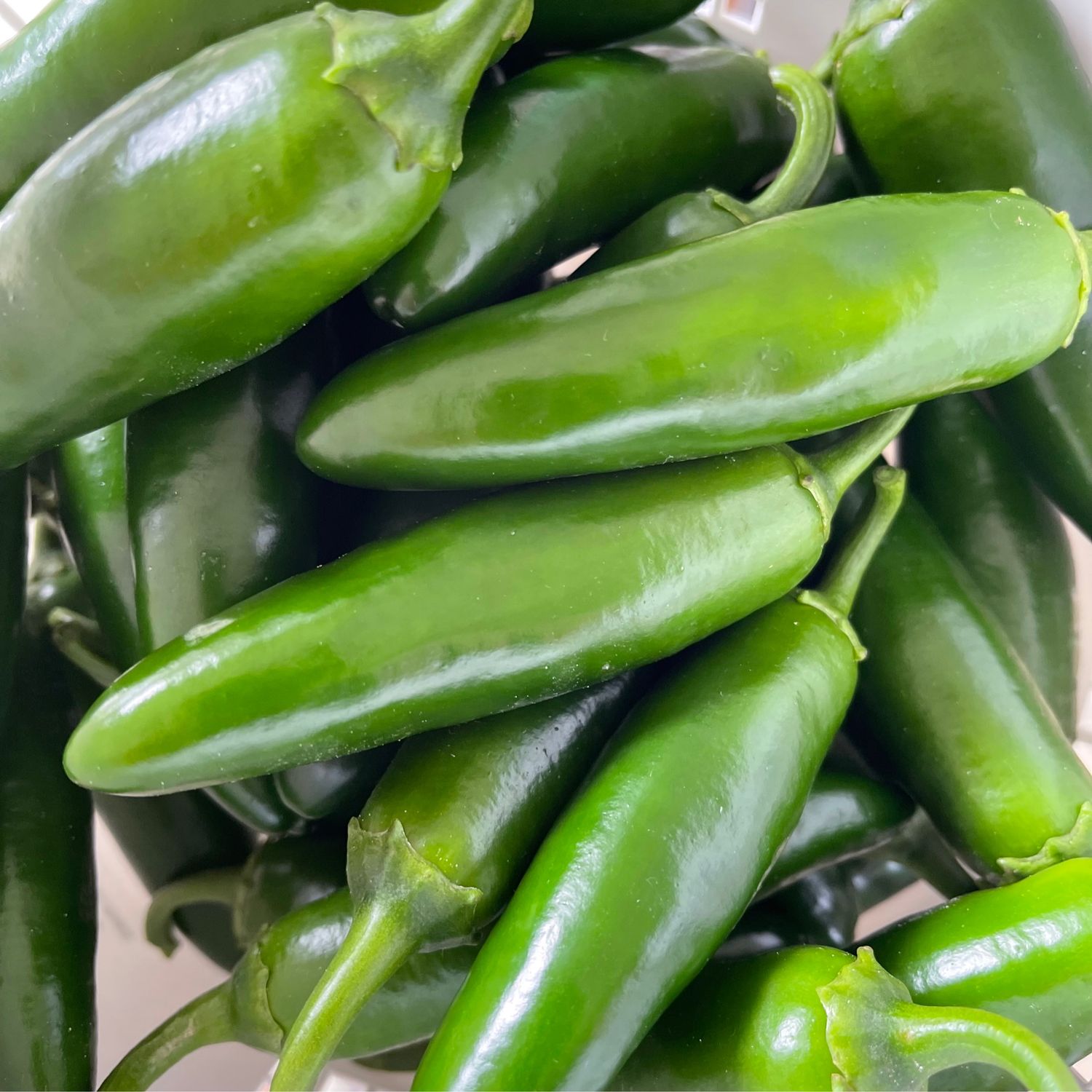 Peppers - Jalapenos Peppers