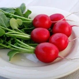 Radishes - Round
