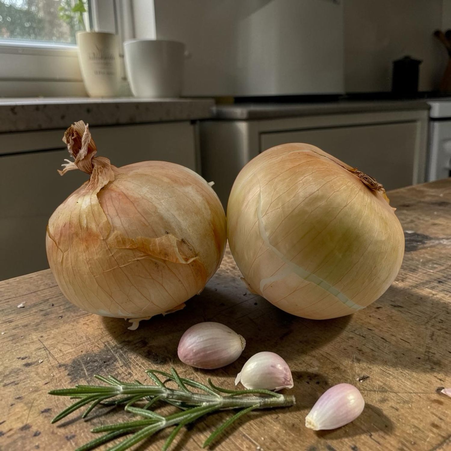 Onions