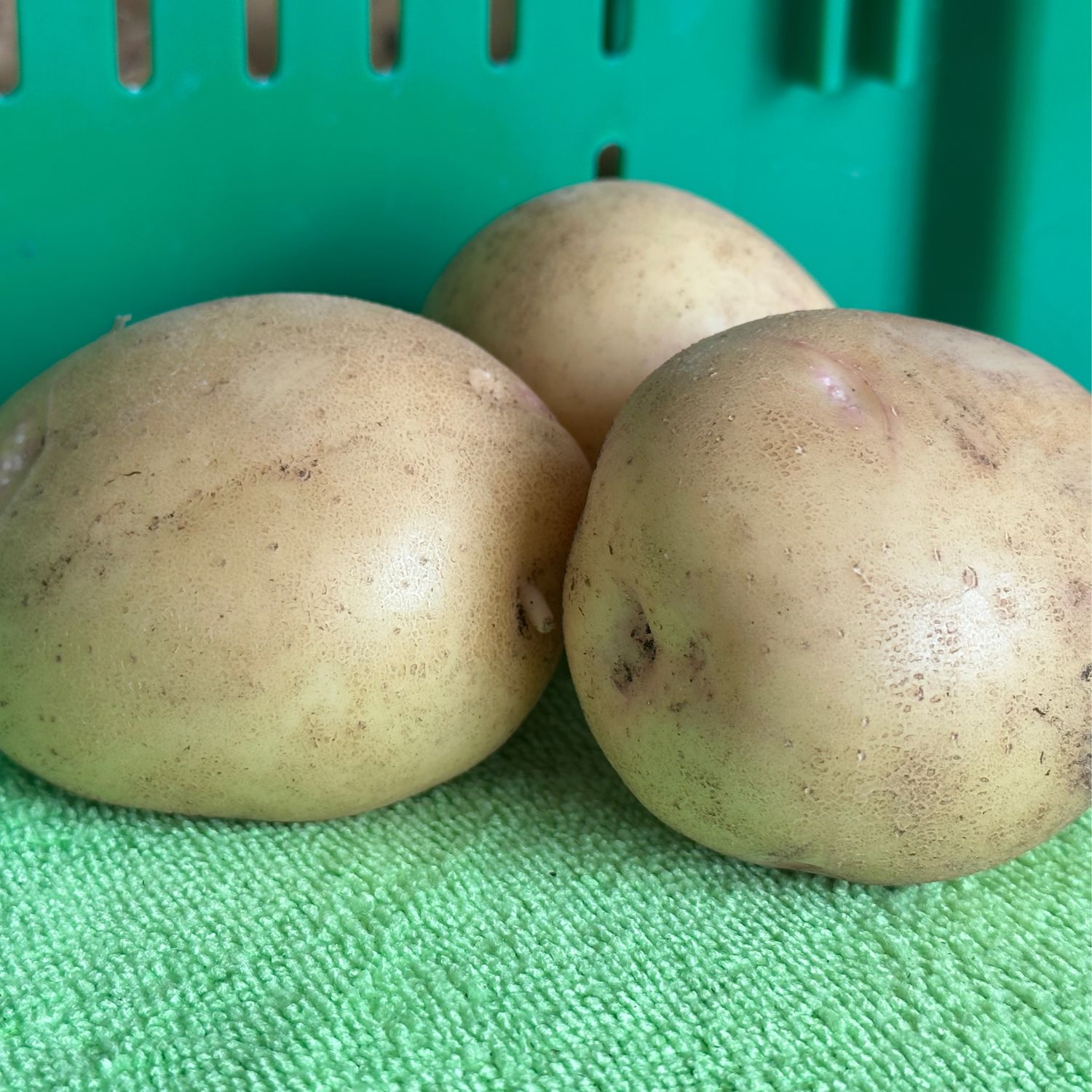 Potatoes - Yukon Gold 2 lbs