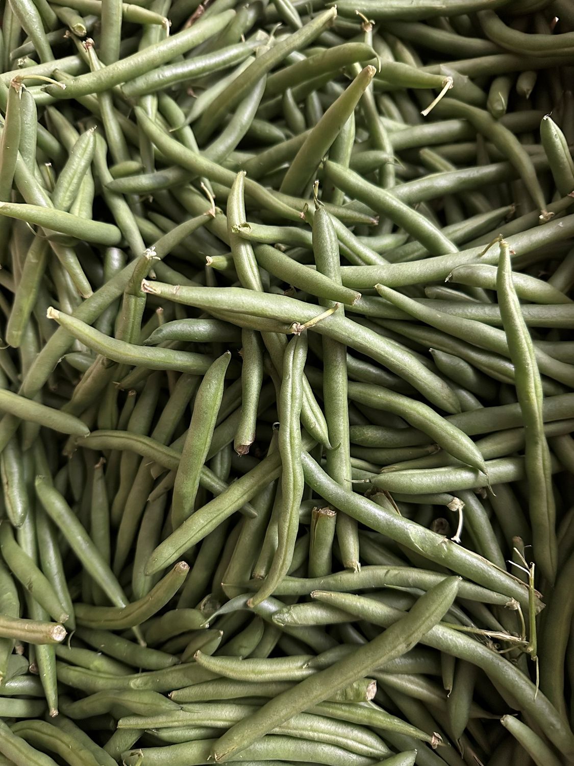 Green Beans