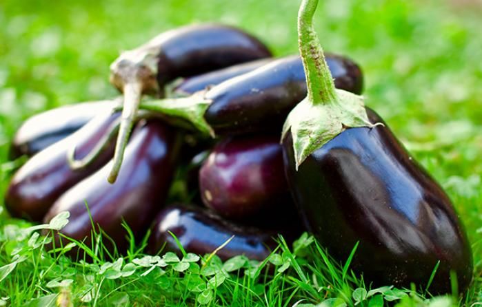 Eggplants