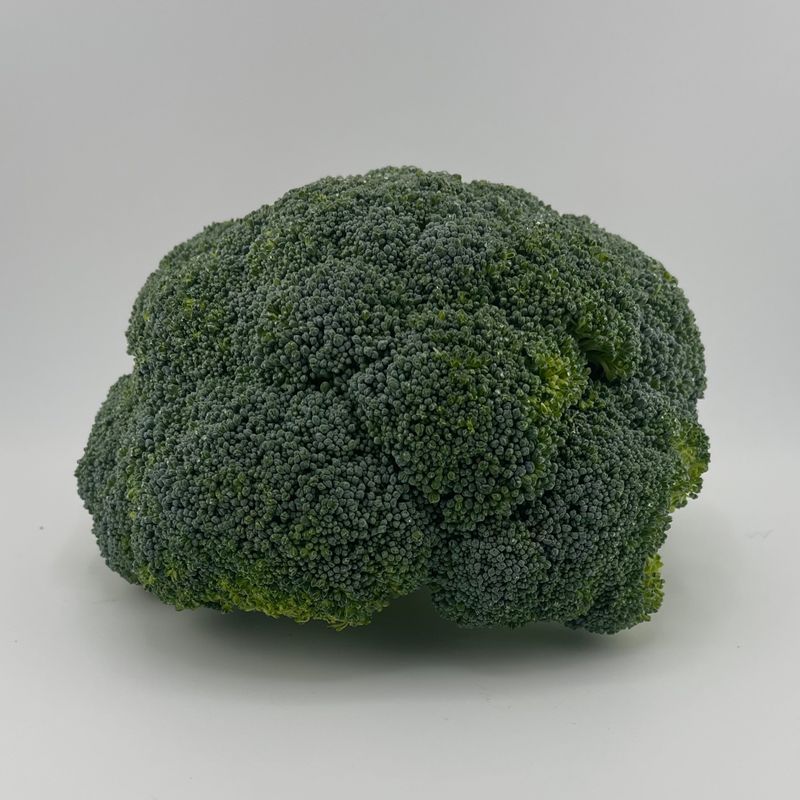 Broccoli