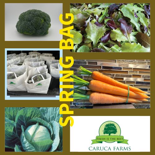 Spring Harvest Veggie Bag