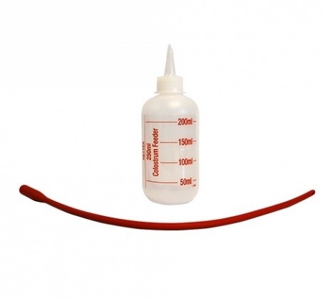 Roslam/Colostrum Feeder Bottle &amp; Tube