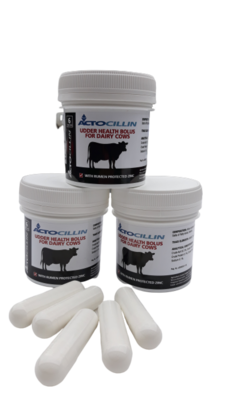 Actocillin Dairy Cow Bolus