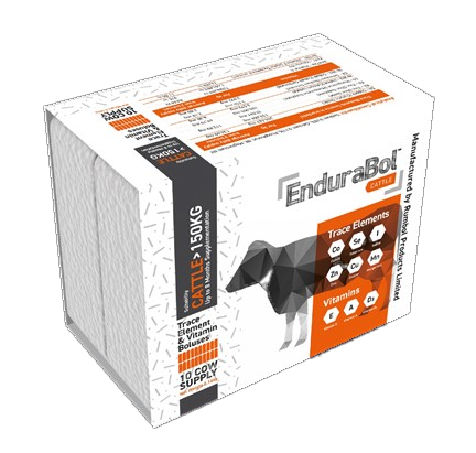 EnduraBol Cattle