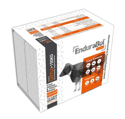 EnduraBol Cattle