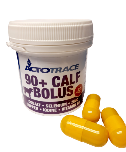 Actotrace Calf 90+ Bolus