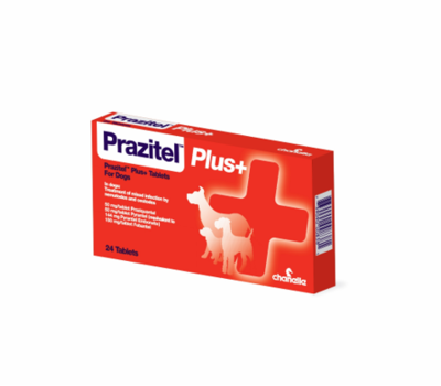 Prazitel Dog Wormer
