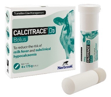 Calcitrace D3 Bolus