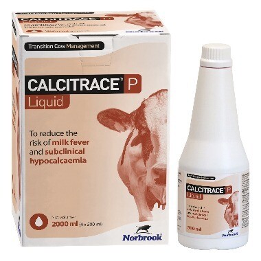 Calcitrace P Liquid