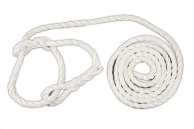 Cattle Halter