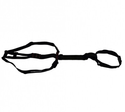 Prolapse Harness