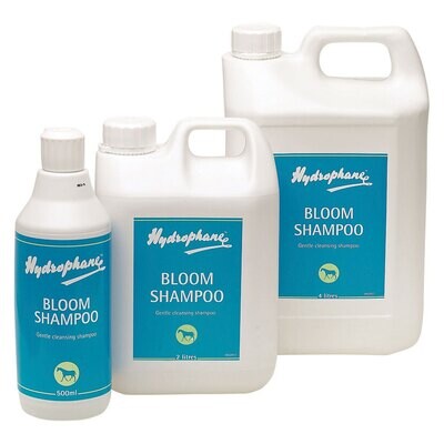 Bloom Shampoo