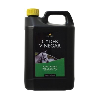 Cider Vinegar