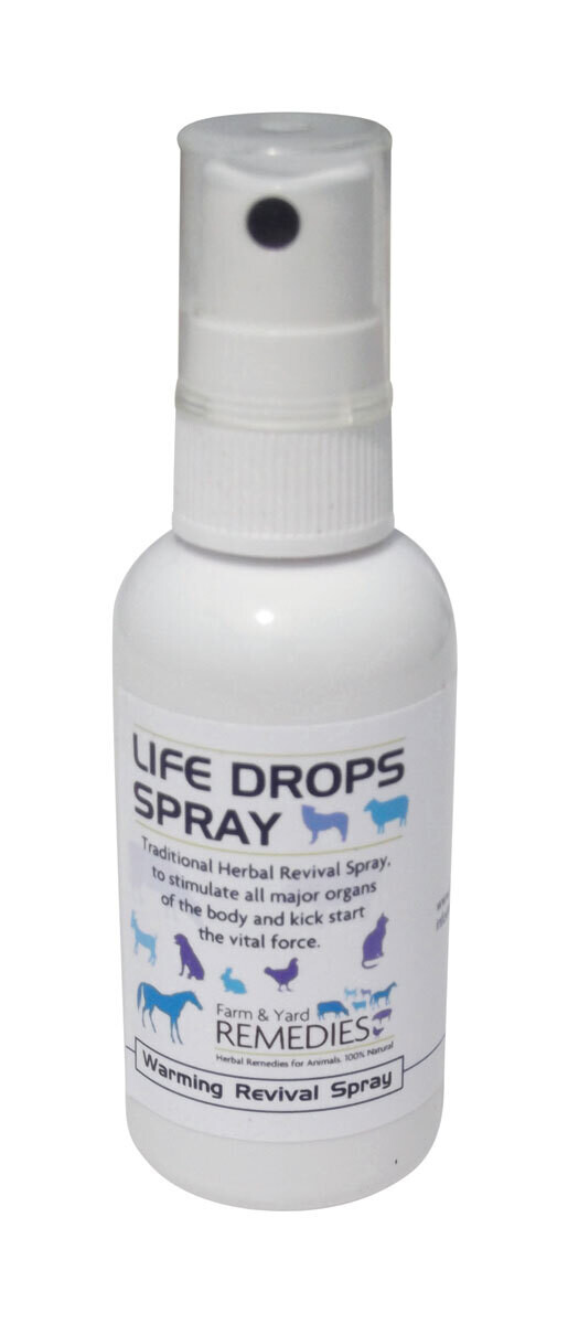 Life Drop Spray