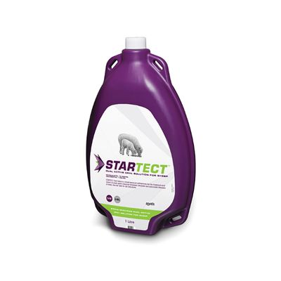 Startect Dual Active Oral Drench for Sheep