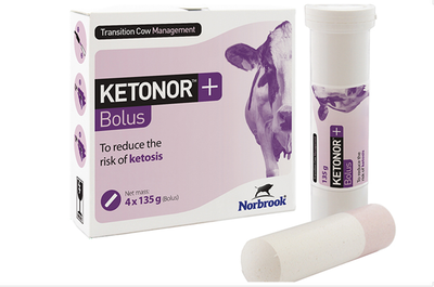 Ketonor + Boluses - Pack of 4