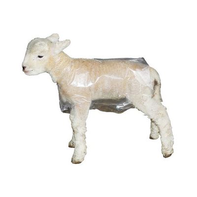 Lamb Macs Clear