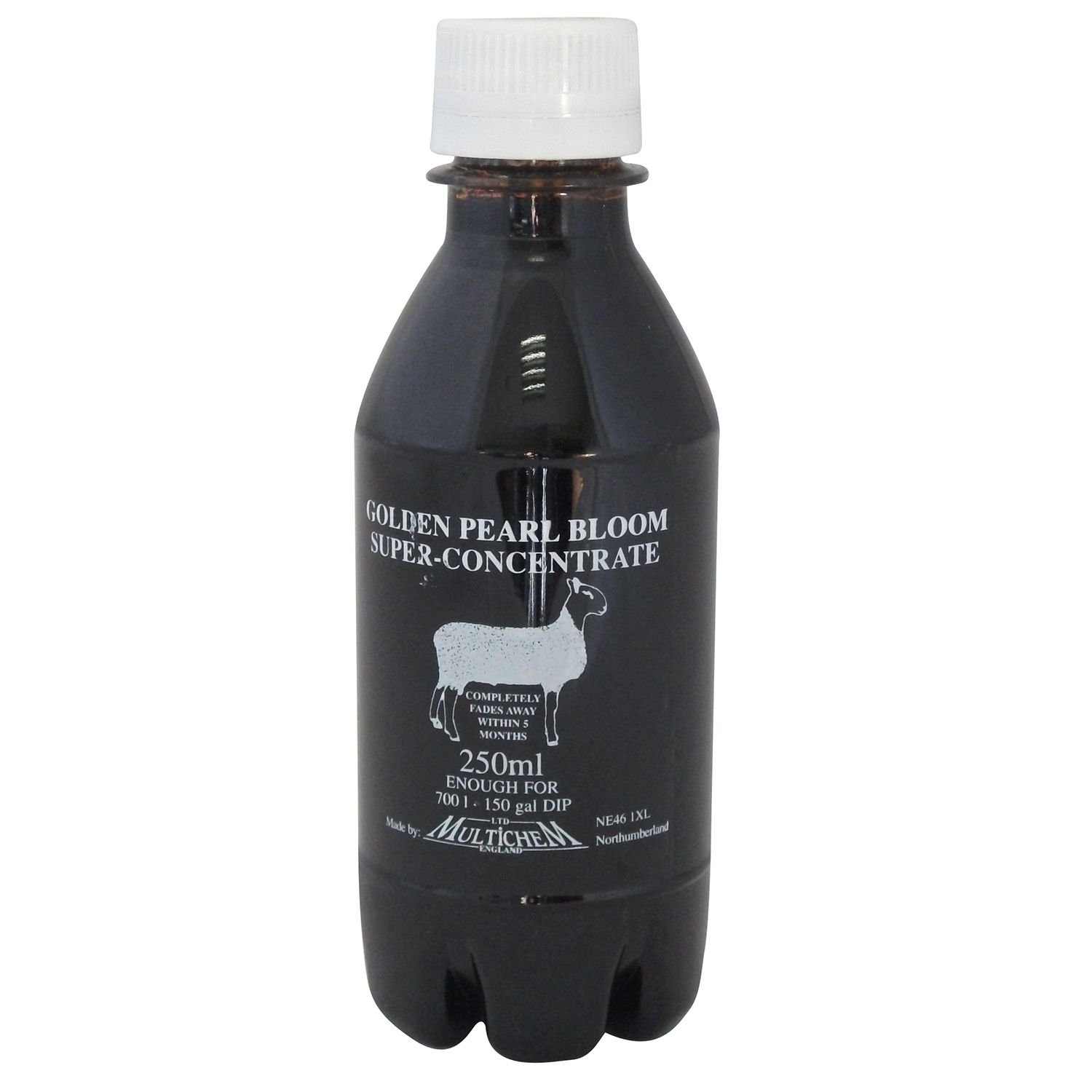 Bloom Golden Pearl Super Concentrate