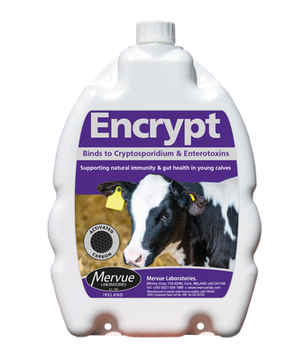 Mervue Encrypt Calf Drench 4.2l