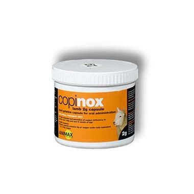 Copinox 2g Lamb Bolus