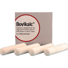 Bovikalc