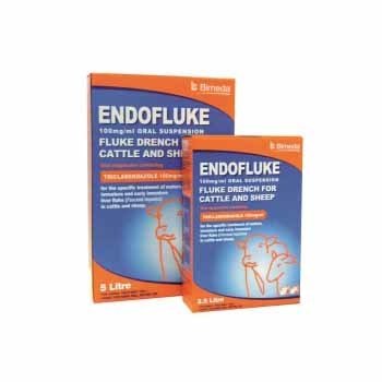 Endofluke 10%