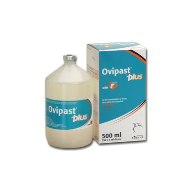 Ovipast Plus