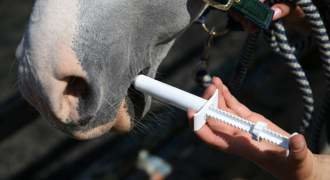 Horse Wormers