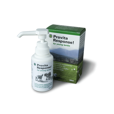 Provita Lamb Response