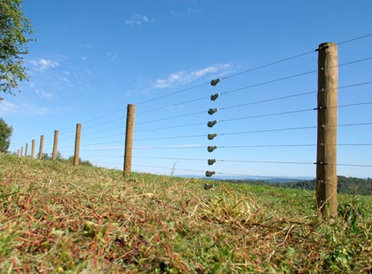 Fencing Accessories