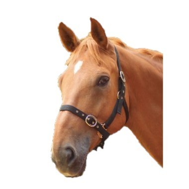 Headcollar - Nylon Fully Adjustable