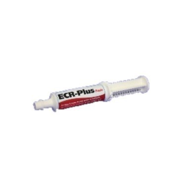 ECR Plus Paste