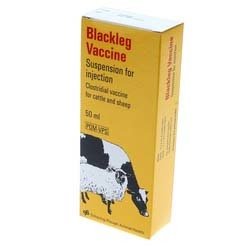 Blackleg Vaccine