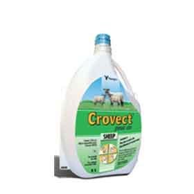 Crovect