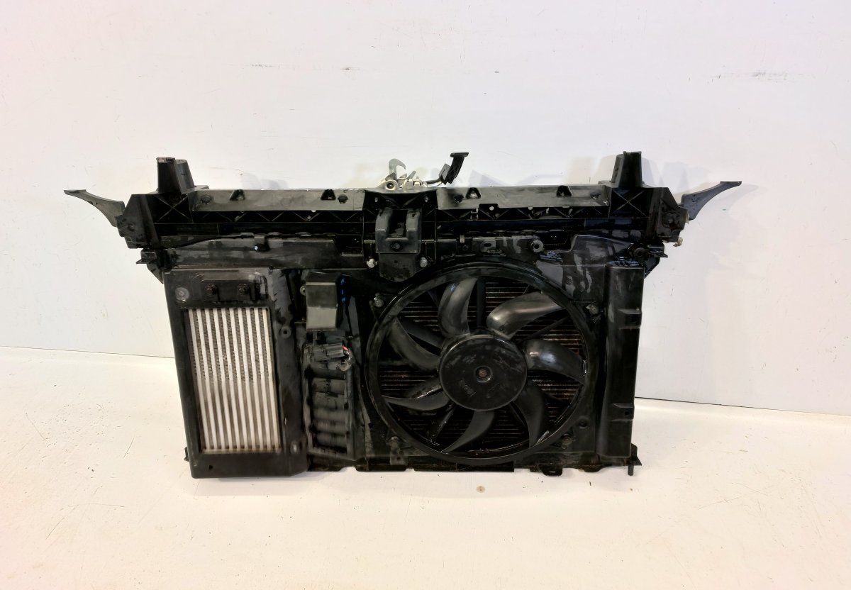 P9684957680 991746Q FC10498747161 Front panel PEUGEOT 3008 I (T84) (2009-2016)
